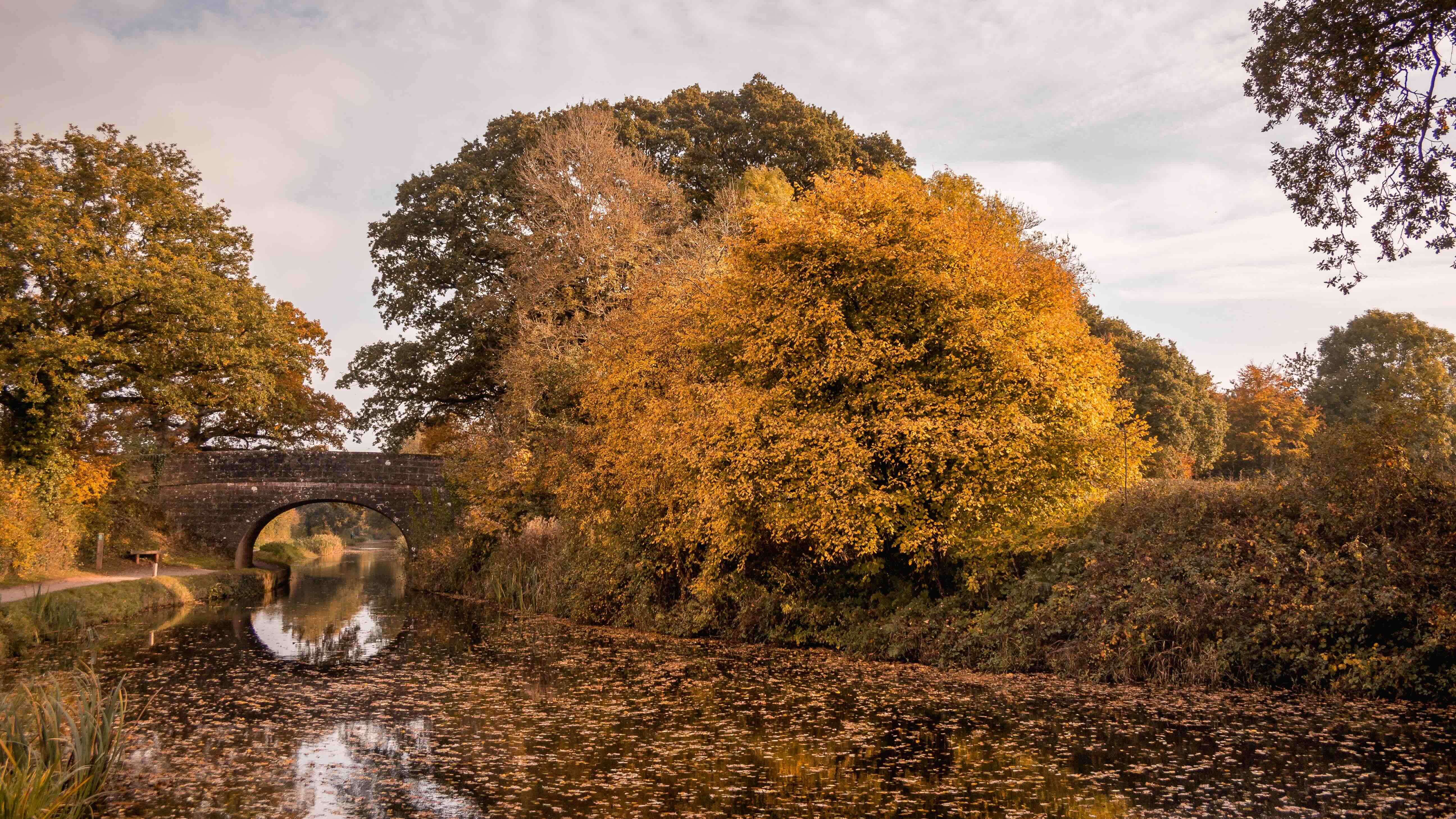 An autumnal canal