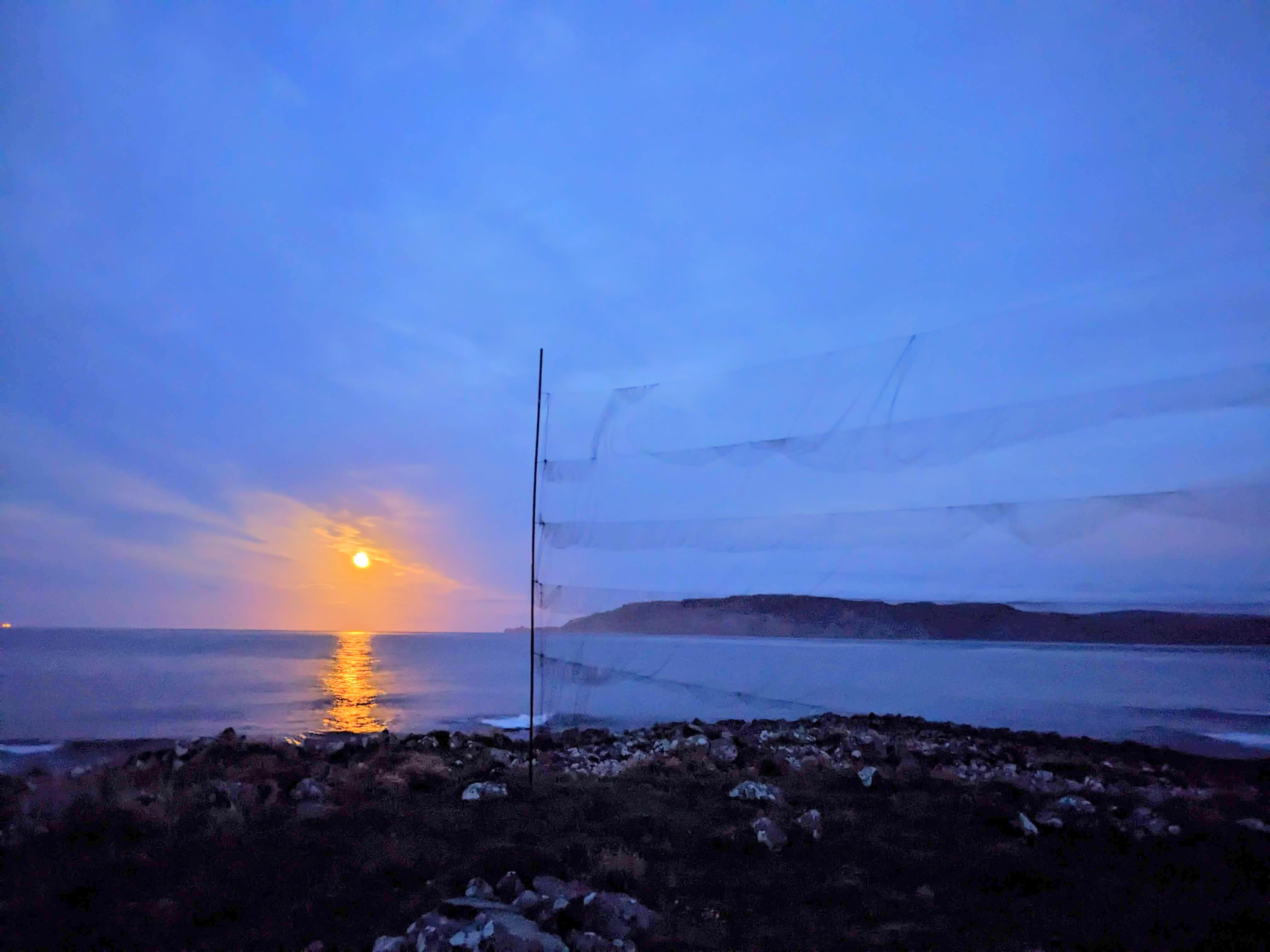 The bird ringing nets with a full moon rising over the seae in the background