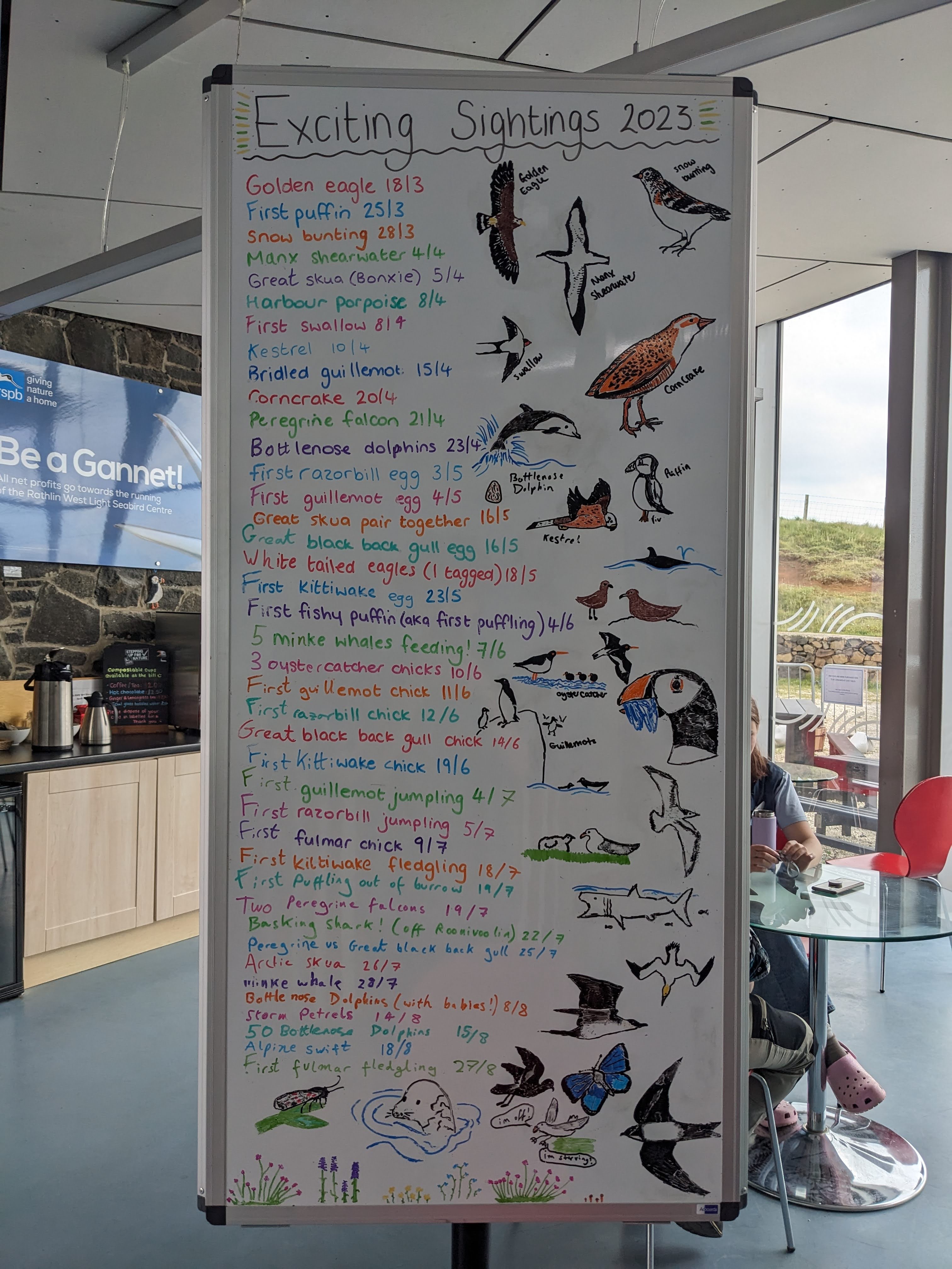 the exciting sightings board with all the text written in different colours and having pictures on