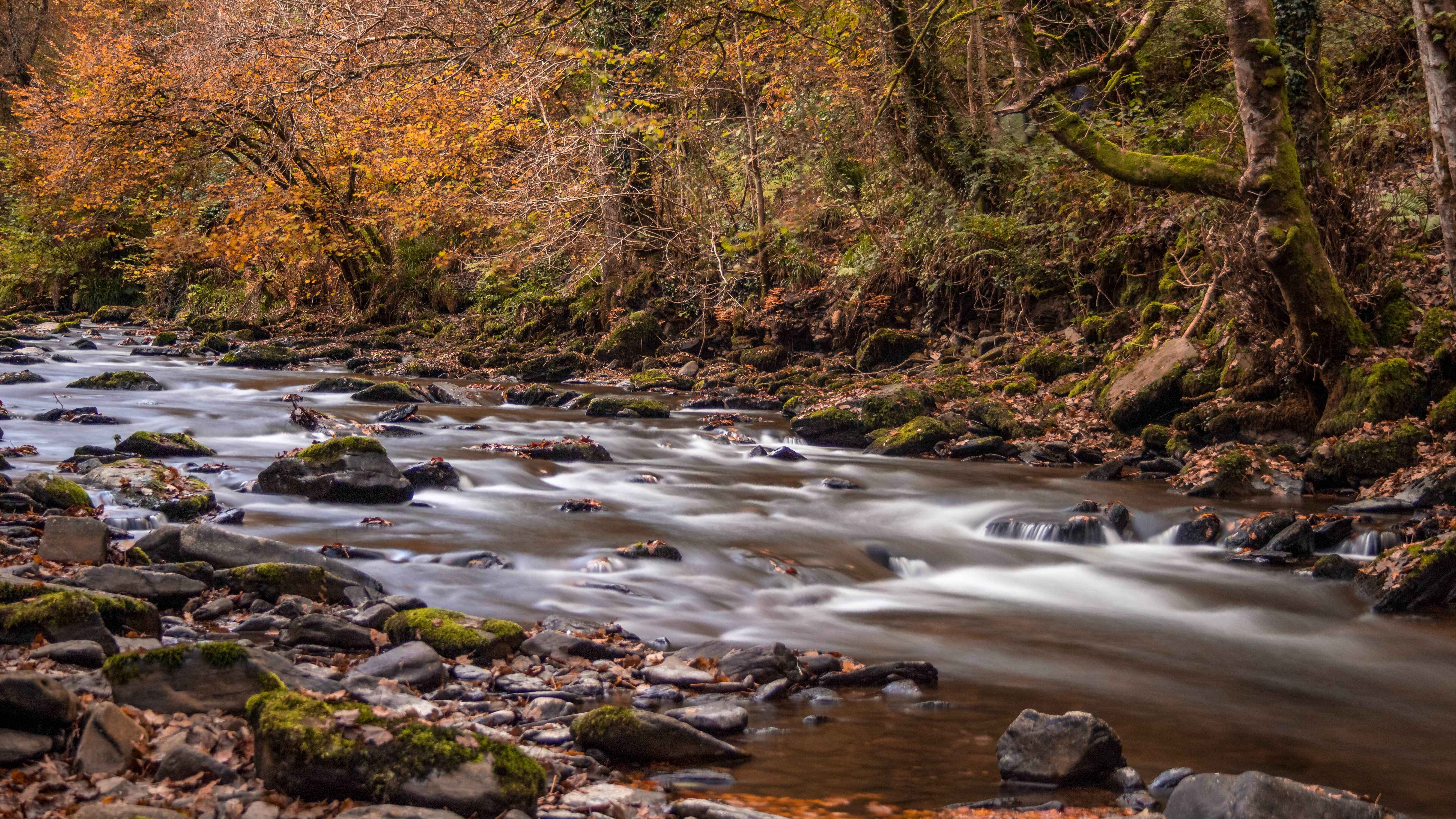 A stream running through a woodland