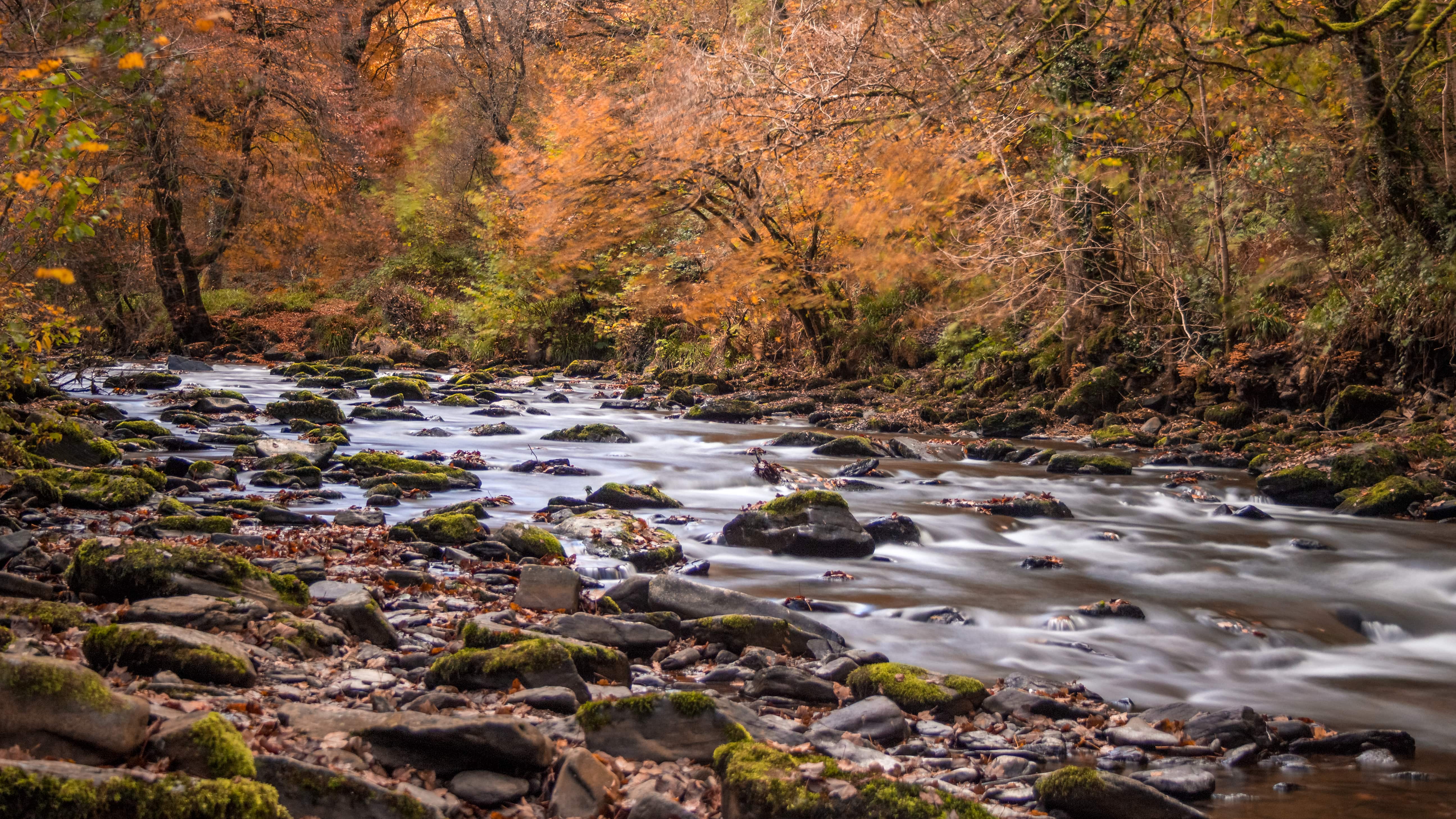 A stream running through a woodland